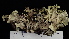 ( - RM19-15E)  @11 [ ] CreativeCommons  Attribution Non-Commercial Share-Alike (2022) Diane L. Haughland Unspecified