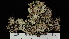  ( - RM19-15F)  @11 [ ] CreativeCommons  Attribution Non-Commercial Share-Alike (2022) Diane L. Haughland Unspecified