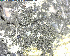  ( - DLH-2013-154)  @11 [ ] Unspecified (default): All Rights Reserved  Unspecified Unspecified