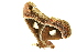  ( - DMLEP-0123)  @13 [ ] CreativeCommons - Attribution (2010) CBG Photography Group Centre for Biodiversity Genomics