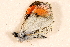  ( - DMTRN-0192)  @12 [ ] CreativeCommons - Attribution (2009) Unspecified Centre for Biodiversity Genomics