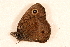  ( - DMTRN-0211)  @13 [ ] CreativeCommons - Attribution (2009) Unspecified Centre for Biodiversity Genomics