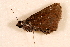  ( - DMTRN-0234)  @13 [ ] CreativeCommons - Attribution (2009) Unspecified Centre for Biodiversity Genomics
