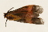  ( - DMTRN-0142)  @12 [ ] CreativeCommons - Attribution (2009) Unspecified Centre for Biodiversity Genomics