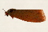  ( - DMTRN-0144)  @13 [ ] CreativeCommons - Attribution (2009) Unspecified Centre for Biodiversity Genomics