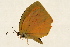  ( - DMTRN-0166)  @12 [ ] CreativeCommons - Attribution (2009) Unspecified Centre for Biodiversity Genomics