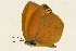  ( - DMTRN-0167)  @12 [ ] CreativeCommons - Attribution (2009) Unspecified Centre for Biodiversity Genomics