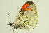  ( - BIOUG00719-B03)  @12 [ ] CreativeCommons - Attribution (2011) CBG Photography Group Centre for Biodiversity Genomics