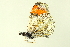  ( - BIOUG00719-B09)  @12 [ ] CreativeCommons - Attribution (2011) CBG Photography Group Centre for Biodiversity Genomics