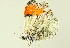  ( - BIOUG00719-D04)  @12 [ ] CreativeCommons - Attribution (2011) CBG Photography Group Centre for Biodiversity Genomics