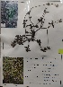  ( - TP)  @11 [ ] c (2022) Department of biotechnology Fergusson college