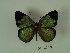  ( - DZ 20.575)  @12 [ ] Unspecified (default): All Rights Reserved  Unspecified Unspecified