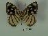  ( - DZ 20.644)  @13 [ ] Unspecified (default): All Rights Reserved  Unspecified Unspecified