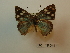  ( - DZ 18.044)  @11 [ ] Unspecified (default): All Rights Reserved  Unspecified Unspecified