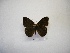  ( - DZ 19.603)  @13 [ ] Unspecified (default): All Rights Reserved  Unspecified Unspecified