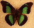  ( - DZ 20.243)  @13 [ ] Unspecified (default): All Rights Reserved  Unspecified Unspecified