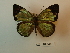 ( - DZ 18.545)  @11 [ ] Unspecified (default): All Rights Reserved  Unspecified Unspecified