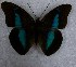  ( - DZ 19.741)  @13 [ ] Unspecified (default): All Rights Reserved  Unspecified Unspecified