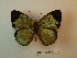  ( - DZ 18.542)  @12 [ ] Unspecified (default): All Rights Reserved  Unspecified Unspecified