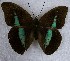  ( - DZ 20.108)  @14 [ ] Unspecified (default): All Rights Reserved  Unspecified Unspecified