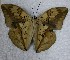  ( - DZ 16.513)  @13 [ ] Unspecified (default): All Rights Reserved  Unspecified Unspecified