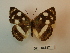  ( - DZ 18.617)  @11 [ ] Unspecified (default): All Rights Reserved  Unspecified Unspecified