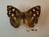  ( - DZ 18.629)  @11 [ ] Unspecified (default): All Rights Reserved  Unspecified Unspecified