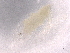  ( - BIOUG72928-A10)  @11 [ ] CreativeCommons - Attribution (2021) CBG Photography Group Centre for Biodiversity Genomics