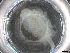  ( - BIOUG74678-E07)  @11 [ ] CreativeCommons - Attribution (2021) CBG Photography Group Centre for Biodiversity Genomics