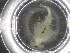  (Artemiopsis - BIOUG74688-E06)  @11 [ ] CreativeCommons - Attribution (2021) CBG Photography Group Centre for Biodiversity Genomics