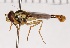  ( - KLM Dip 00089)  @11 [ ] CreativeCommons - Attribution Non-Commercial Share-Alike (2020) Helge Heimburg Landesmuseum Kärnten