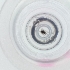  ( - DODD_013_H11)  @11 [ ] by  Genome Research Ltd as Wellcome Sanger Institute Genome Research Limited operating as Wellcome Sanger Institute