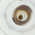  ( - DODD_019_A7)  @11 [ ] by  Genome Research Ltd as Wellcome Sanger Institute Genome Research Limited operating as Wellcome Sanger Institute