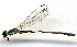  ( - WH-EO-108)  @11 [ ] CreativeCommons  Attribution Non-Commercial (by-nc) (2017) William Haber University of Connecticut