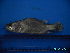  ( - DO-AK 011)  @12 [ ] Unspecified (default): All Rights Reserved  Unspecified Unspecified