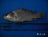  ( - DO-AK 051)  @12 [ ] Unspecified (default): All Rights Reserved  Unspecified Unspecified