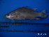  ( - DO-AK 052)  @12 [ ] Unspecified (default): All Rights Reserved  Unspecified Unspecified