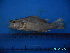  ( - DO-AK 062)  @12 [ ] Unspecified (default): All Rights Reserved  Unspecified Unspecified