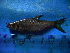  ( - DO-LK037)  @13 [ ] Unspecified (default): All Rights Reserved  Unspecified Unspecified