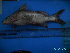  ( - DO-OL192)  @12 [ ] Unspecified (default): All Rights Reserved  Unspecified Unspecified