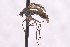  ( - CNC1434481)  @11 [ ] No Rights Reserved (nrr) (2025) Unspecified CNC