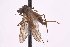  ( - CNC1434486)  @11 [ ] No Rights Reserved (nrr) (2025) Unspecified CNC