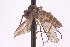 ( - CNC1434487)  @11 [ ] No Rights Reserved (nrr) (2025) Unspecified CNC
