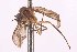  ( - CNC1434488)  @11 [ ] No Rights Reserved (nrr) (2025) Unspecified CNC