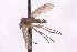  ( - CNC1434489)  @11 [ ] No Rights Reserved (nrr) (2025) Unspecified CNC