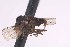  ( - CNC1434508)  @11 [ ] No Rights Reserved (nrr) (2025) Unspecified CNC