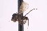  ( - CNC1434510)  @11 [ ] No Rights Reserved (nrr) (2025) Unspecified CNC