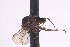  ( - CNC1434511)  @11 [ ] No Rights Reserved (nrr) (2025) Unspecified CNC