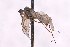  ( - CNC1434528)  @11 [ ] No Rights Reserved (nrr) (2025) Unspecified CNC