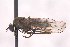  ( - CNC1434532)  @11 [ ] No Rights Reserved (nrr) (2025) Unspecified CNC
